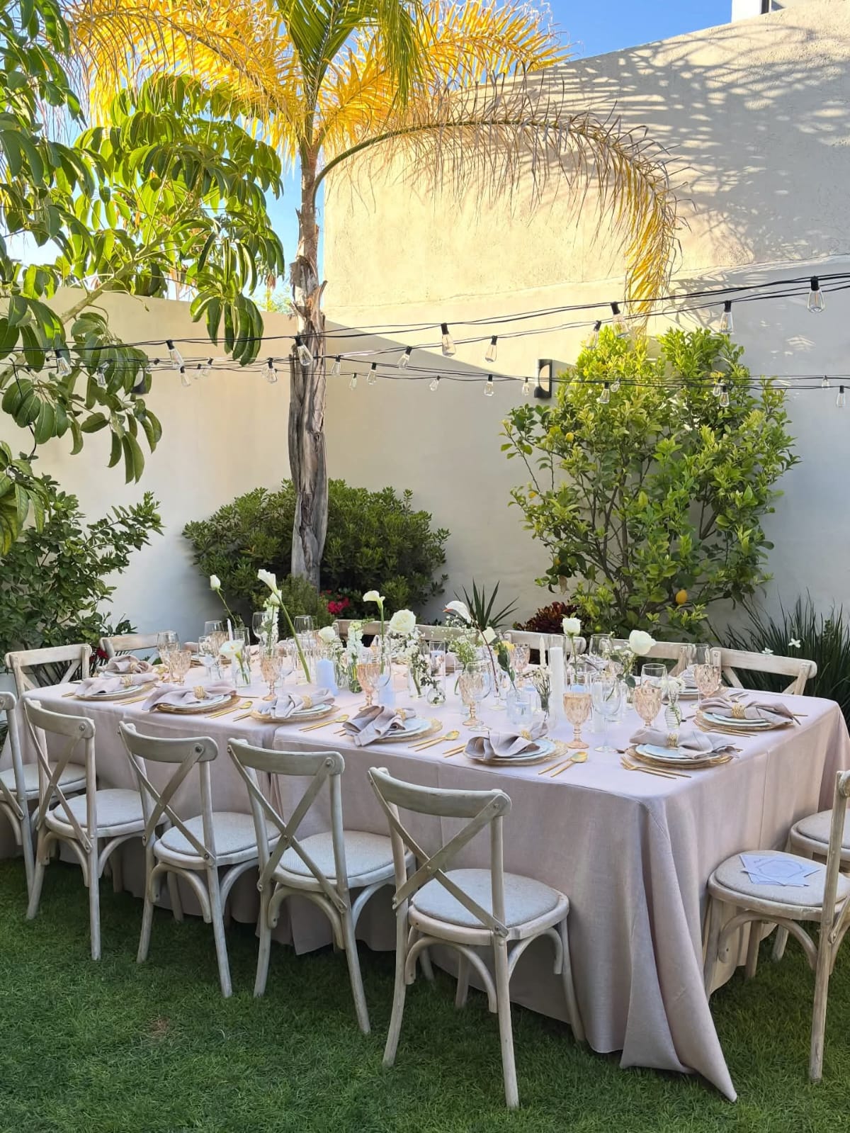 Montaje elegante en jardín